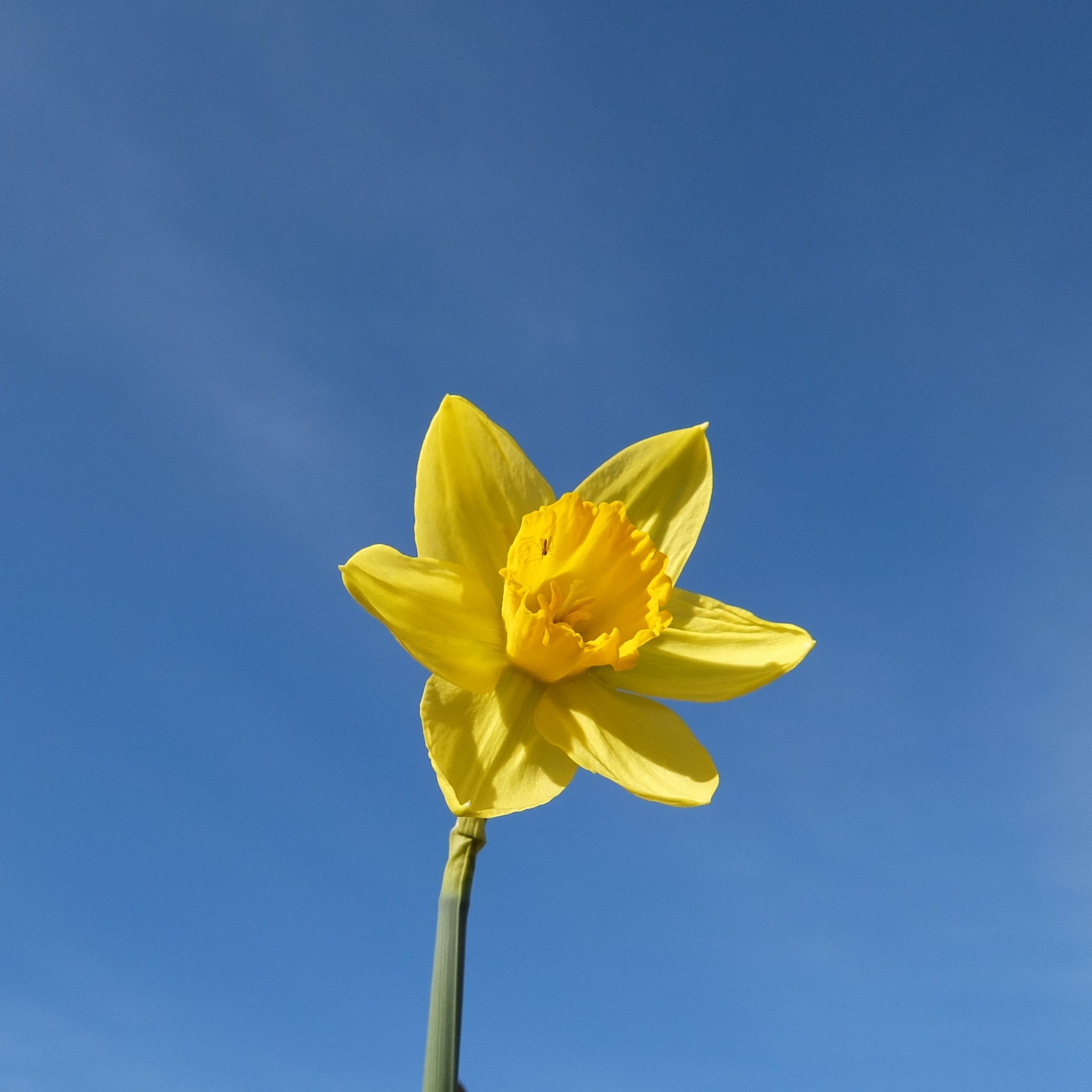 Mindful Health & Habits